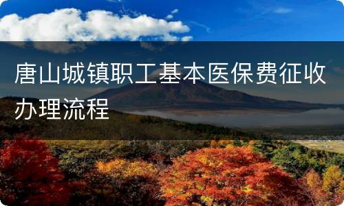 唐山城镇职工基本医保费征收办理流程