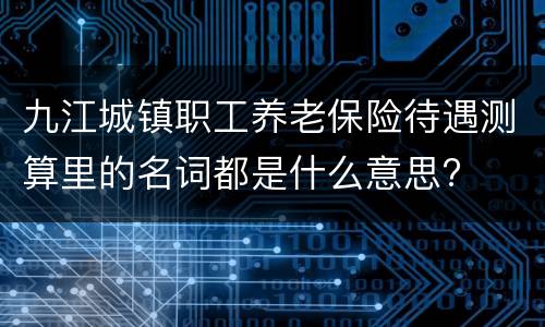 九江城镇职工养老保险待遇测算里的名词都是什么意思?