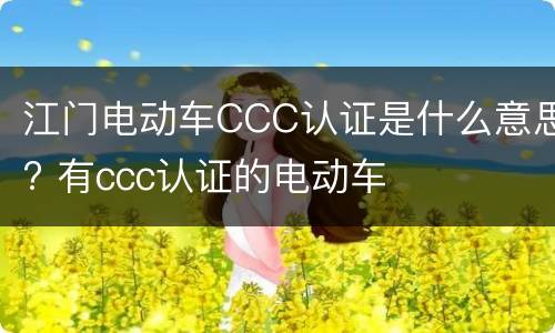 江门电动车CCC认证是什么意思? 有ccc认证的电动车