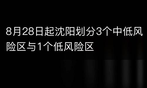 8月28日起沈阳划分3个中低风险区与1个低风险区