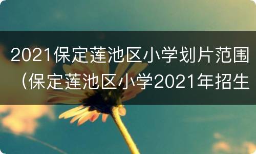 2021保定莲池区小学划片范围（保定莲池区小学2021年招生）
