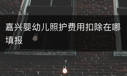 嘉兴婴幼儿照护费用扣除在哪填报