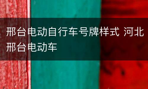 邢台电动自行车号牌样式 河北邢台电动车