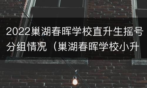 2022巢湖春晖学校直升生摇号分组情况（巢湖春晖学校小升初分数线）