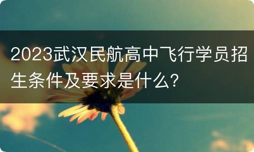 2023武汉民航高中飞行学员招生条件及要求是什么？