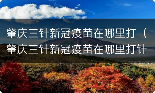 肇庆三针新冠疫苗在哪里打（肇庆三针新冠疫苗在哪里打针）