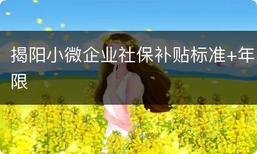 揭阳小微企业社保补贴标准+年限​