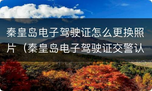 秦皇岛电子驾驶证怎么更换照片（秦皇岛电子驾驶证交警认可吗）