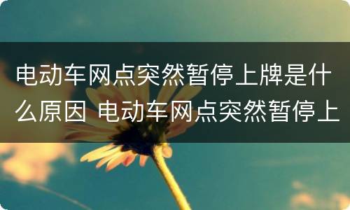 电动车网点突然暂停上牌是什么原因 电动车网点突然暂停上牌是什么原因呢
