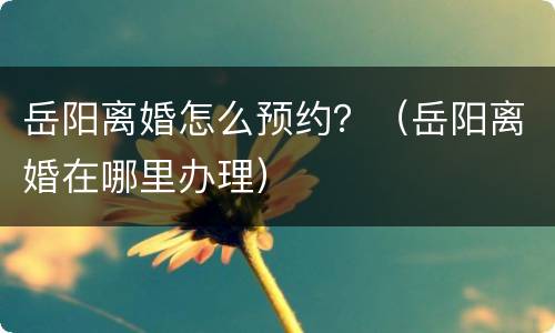 岳阳离婚怎么预约？（岳阳离婚在哪里办理）