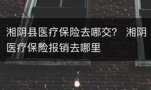 湘阴县医疗保险去哪交？ 湘阴医疗保险报销去哪里