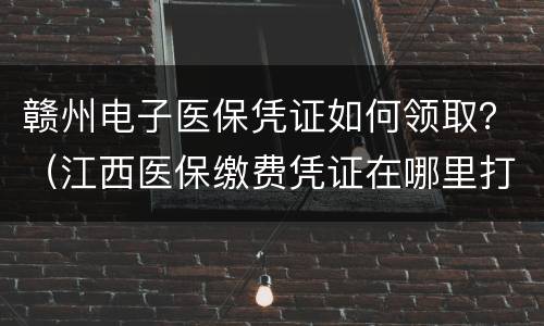 赣州电子医保凭证如何领取？（江西医保缴费凭证在哪里打印）