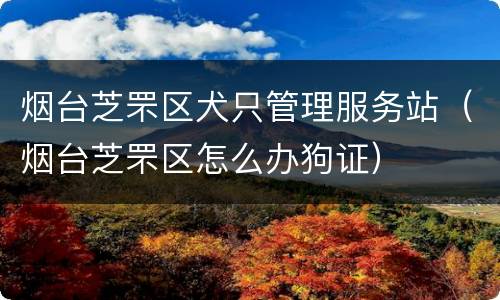 烟台芝罘区犬只管理服务站（烟台芝罘区怎么办狗证）