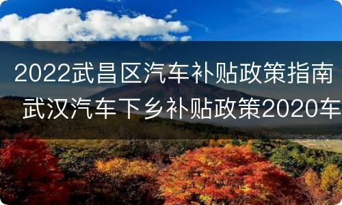 2022武昌区汽车补贴政策指南 武汉汽车下乡补贴政策2020车型