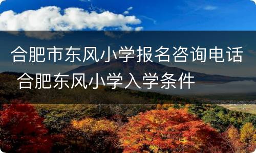 合肥市东风小学报名咨询电话 合肥东风小学入学条件
