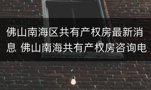 佛山南海区共有产权房最新消息 佛山南海共有产权房咨询电话