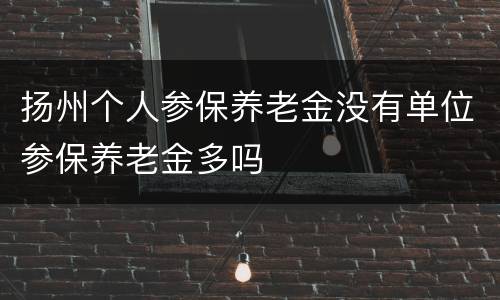 扬州个人参保养老金没有单位参保养老金多吗