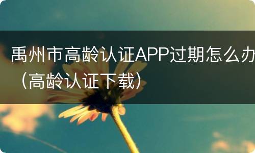 禹州市高龄认证APP过期怎么办（高龄认证下载）