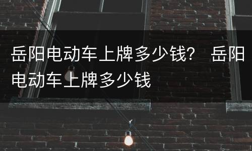 岳阳电动车上牌多少钱？ 岳阳电动车上牌多少钱