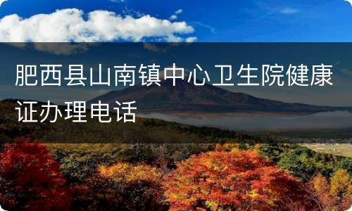 肥西县山南镇中心卫生院健康证办理电话