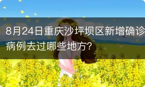 8月24日重庆沙坪坝区新增确诊病例去过哪些地方？
