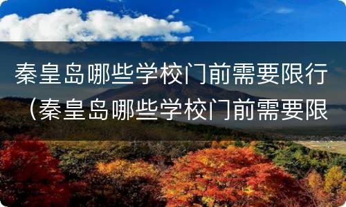 秦皇岛哪些学校门前需要限行（秦皇岛哪些学校门前需要限行拍照的）