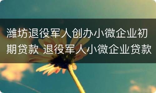 潍坊退役军人创办小微企业初期贷款 退役军人小微企业贷款需要什么条件