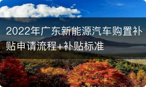 2022年广东新能源汽车购置补贴申请流程+补贴标准