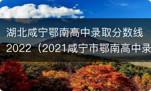 湖北咸宁鄂南高中录取分数线2022（2021咸宁市鄂南高中录取分数线）