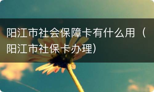 阳江市社会保障卡有什么用（阳江市社保卡办理）