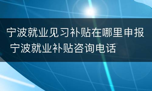 宁波就业见习补贴在哪里申报 宁波就业补贴咨询电话
