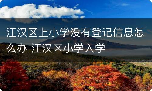 江汉区上小学没有登记信息怎么办 江汉区小学入学