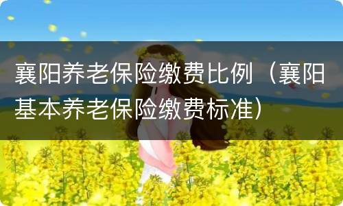 襄阳养老保险缴费比例（襄阳基本养老保险缴费标准）