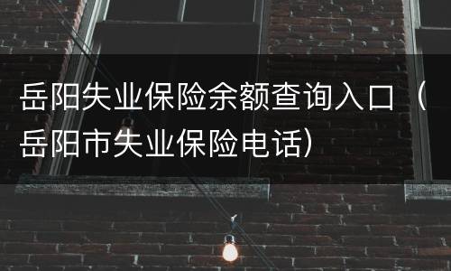 岳阳失业保险余额查询入口（岳阳市失业保险电话）