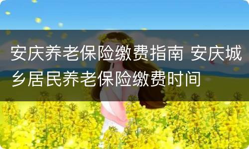 安庆养老保险缴费指南 安庆城乡居民养老保险缴费时间