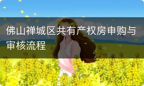 佛山禅城区共有产权房申购与审核流程