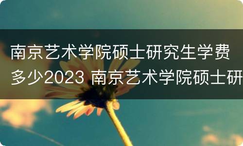 南京艺术学院硕士研究生学费多少2023 南京艺术学院硕士研究生学费多少2023