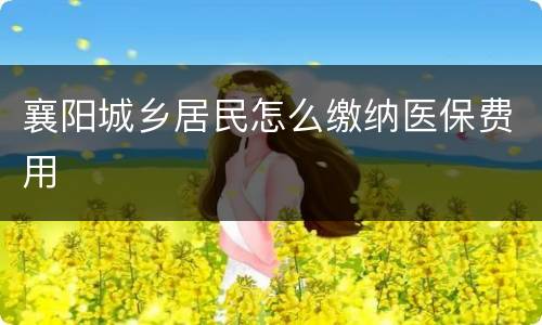 襄阳城乡居民怎么缴纳医保费用