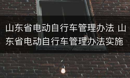 山东省电动自行车管理办法 山东省电动自行车管理办法实施意见