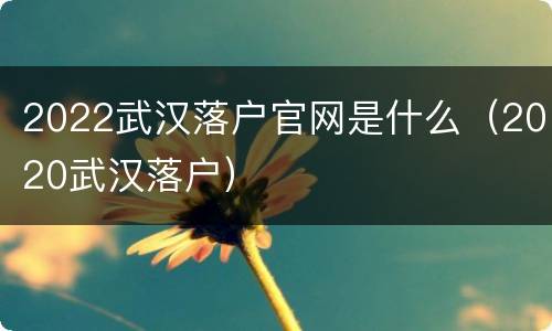 2022武汉落户官网是什么（2020武汉落户）