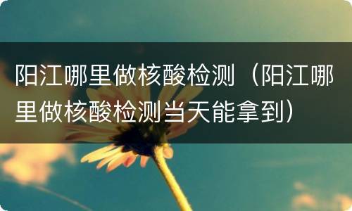 阳江哪里做核酸检测（阳江哪里做核酸检测当天能拿到）