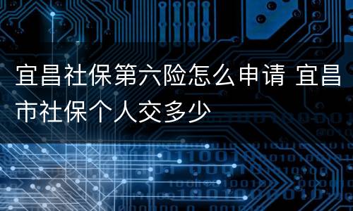 宜昌社保第六险怎么申请 宜昌市社保个人交多少