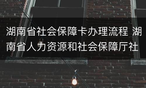 湖南省社会保障卡办理流程 湖南省人力资源和社会保障厅社保卡