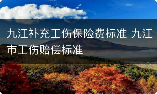 九江补充工伤保险费标准 九江市工伤赔偿标准