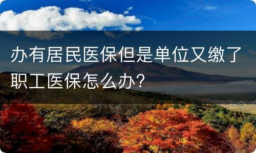 办有居民医保但是单位又缴了职工医保怎么办?