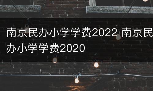 南京民办小学学费2022 南京民办小学学费2020