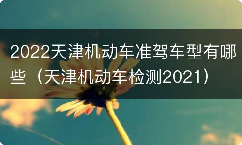2022天津机动车准驾车型有哪些（天津机动车检测2021）