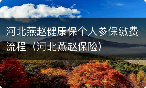 河北燕赵健康保个人参保缴费流程（河北燕赵保险）
