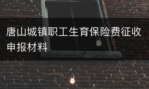 唐山城镇职工生育保险费征收申报材料