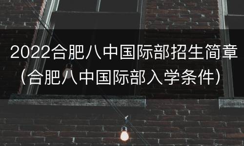 2022合肥八中国际部招生简章（合肥八中国际部入学条件）